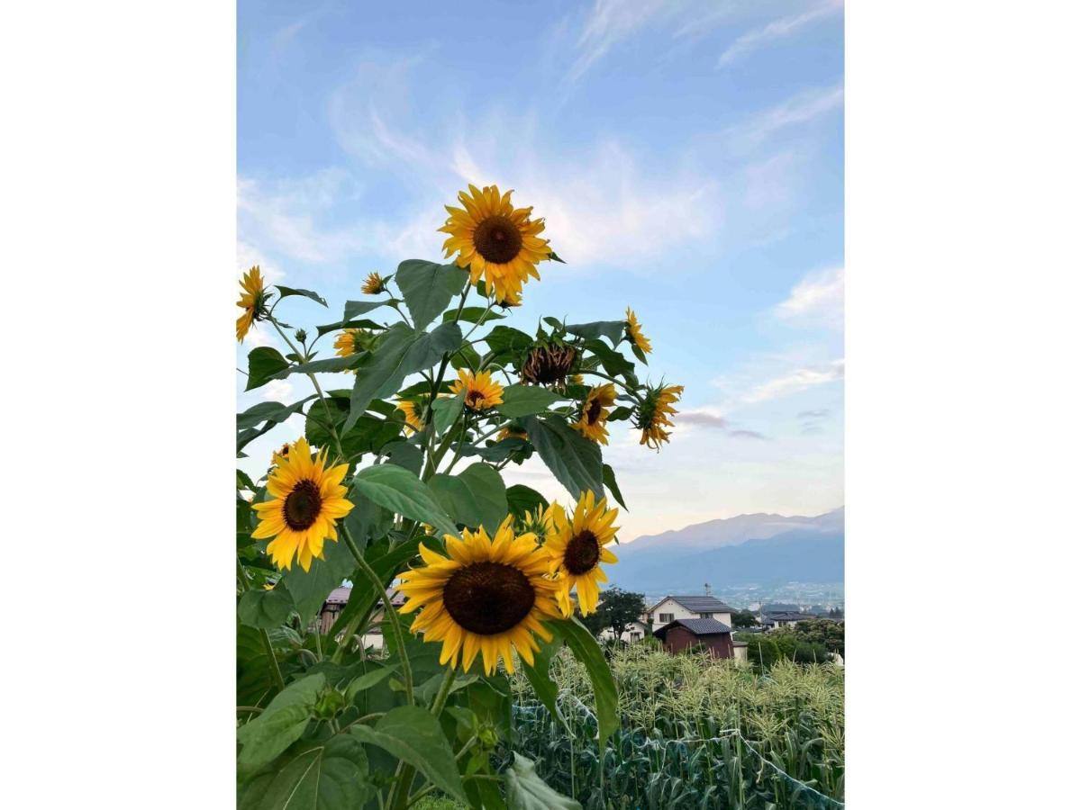 Longhillsecoguesthouse&Cafe - Vacation Stay 24885V Ome Buitenkant foto